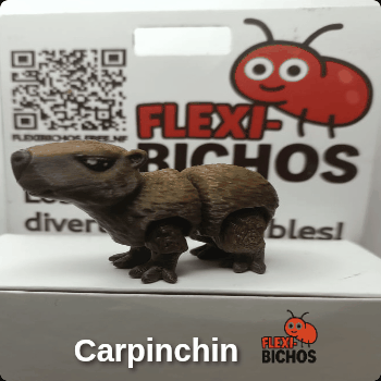 Carpinchin, el Carpincho Flexibicho