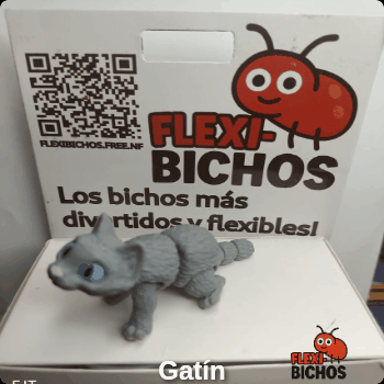 Gatín, el Gato Flexibicho