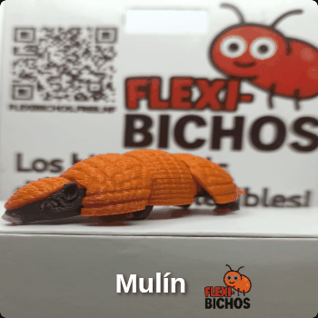 Mulín, la Mulita Flexibicho
