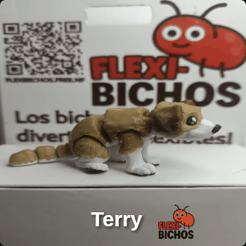 Terry, el Perro Flexibicho
