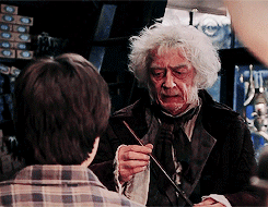 La varita y Anteojos de Harry Potter (Kit Mágico)